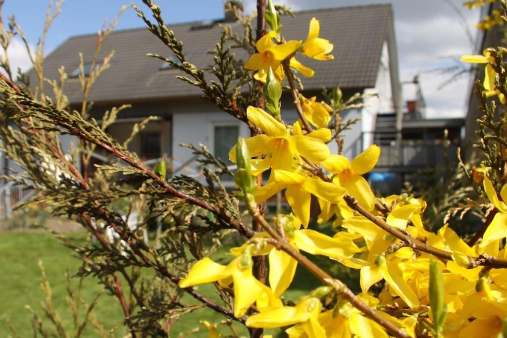 Fewo Clemens - Wohnkueche + 2 Schlafraeume + Bad + Terrasse Hamm  Exterior foto